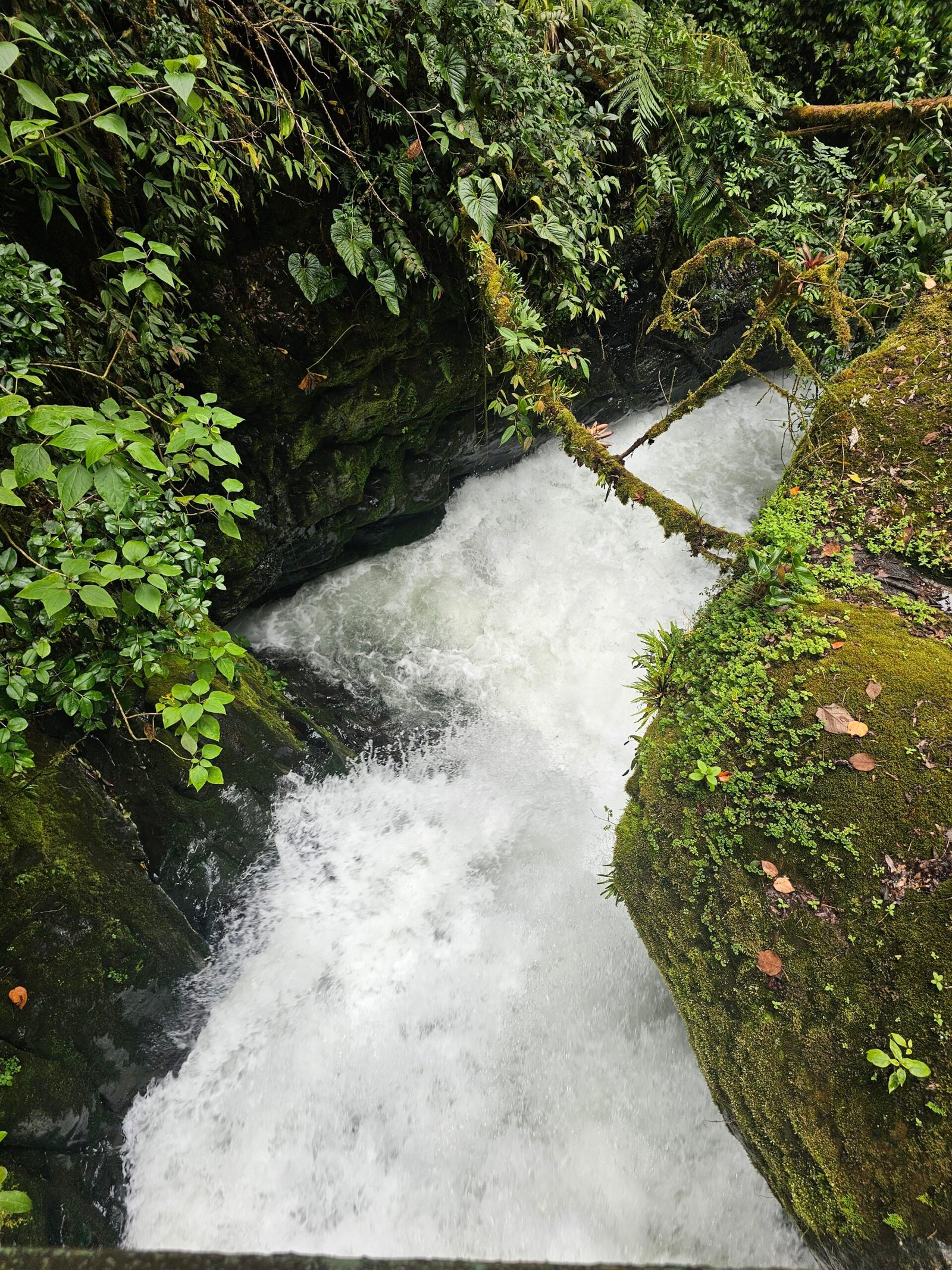 Costa Rica Costa Rica - Perfect Costa Rica