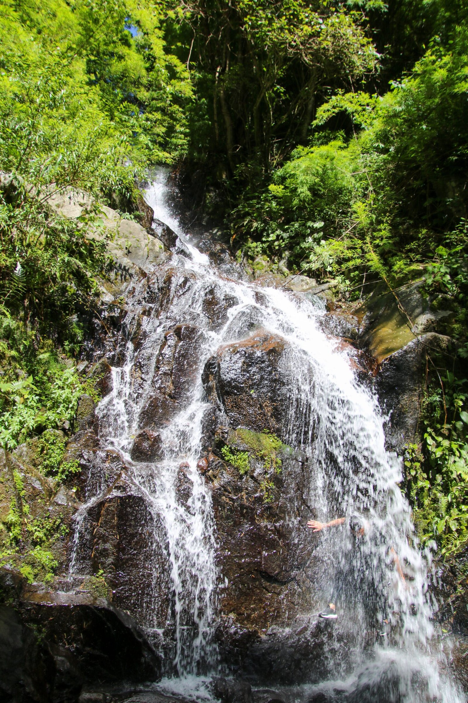 Costa Rica Costa Rica - Perfect Costa Rica
